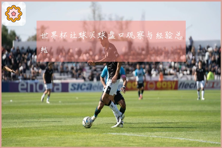 世界杯让球买球盘口观察与经验总结