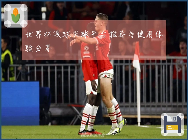 世界杯滚球买球平台推荐与使用体验分享