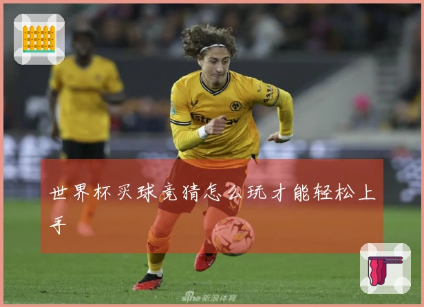 世界杯买球竞猜怎么玩才能轻松上手