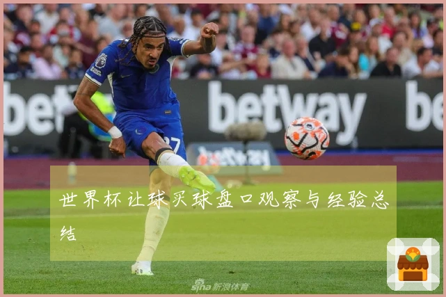 世界杯让球买球盘口观察与经验总结