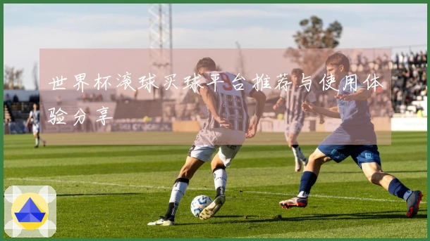 世界杯滚球买球平台推荐与使用体验分享