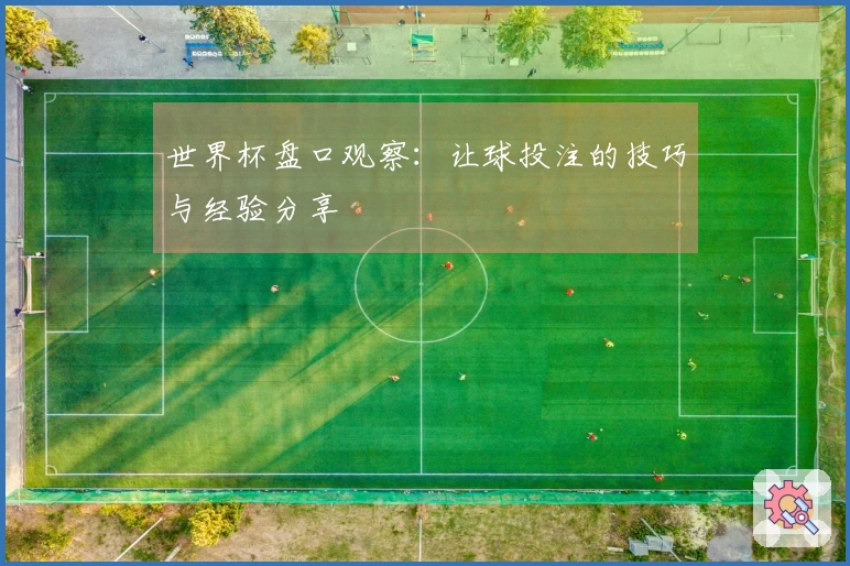 世界杯盘口观察：让球投注的技巧与经验分享