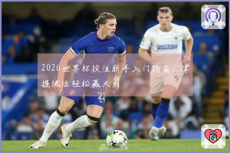 2026世界杯投注新手入门指南，掌握玩法轻松赢大利