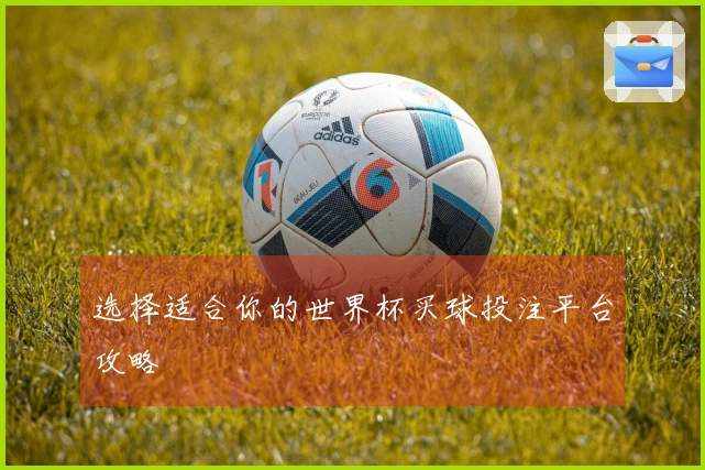 选择适合你的世界杯买球投注平台攻略