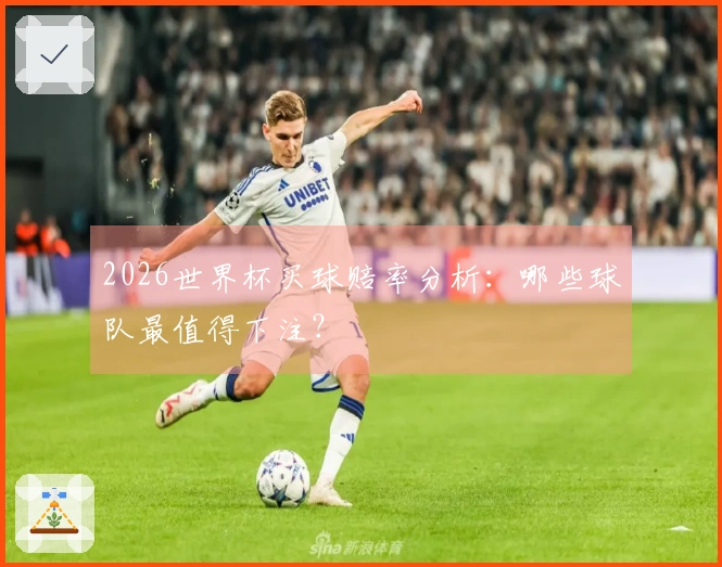 2026世界杯买球赔率分析:哪些球队最值得下注?