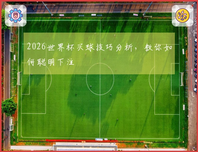 2026世界杯买球技巧分析，教你如何聪明下注