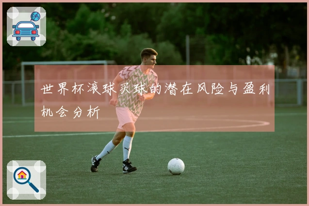 世界杯滚球买球的潜在风险与盈利机会分析