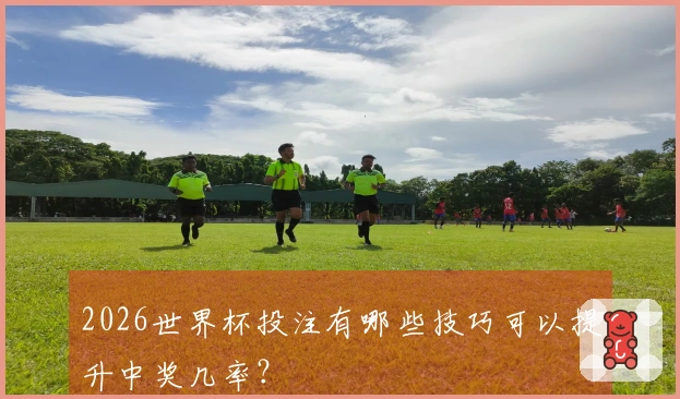2026世界杯投注有哪些技巧可以提升中奖几率？