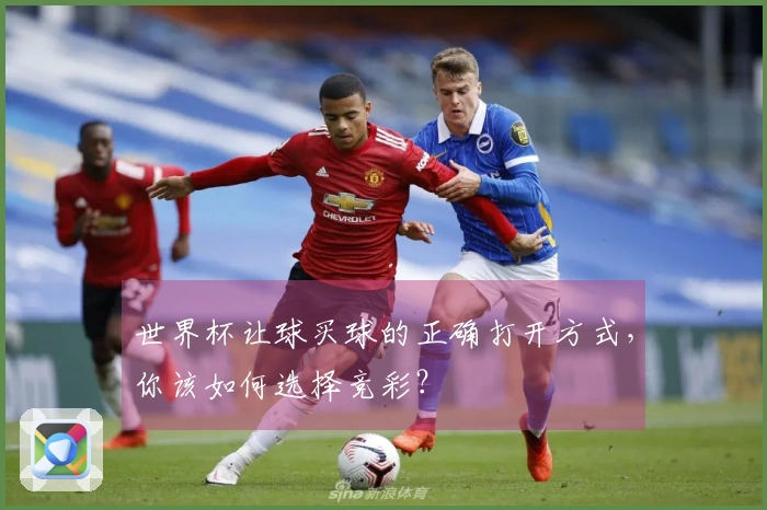 世界杯让球买球的正确打开方式，你该如何选择竞彩？